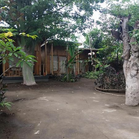 Beach Box Bungalow Gili Trawangan Bagian luar foto