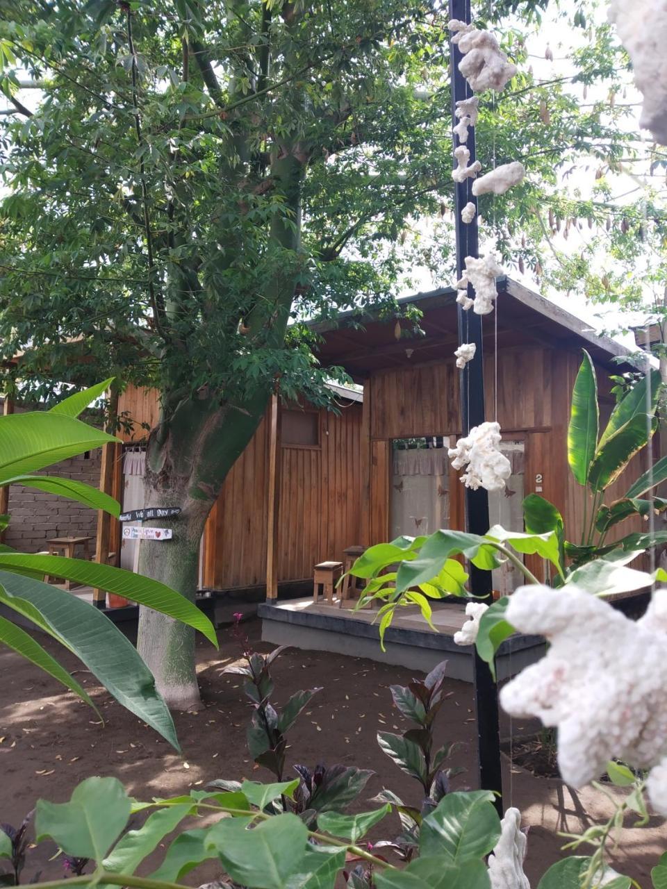 Beach Box Bungalow Gili Trawangan Bagian luar foto